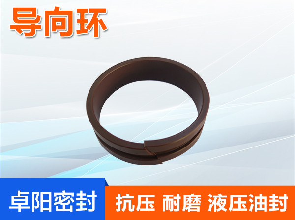 导向环